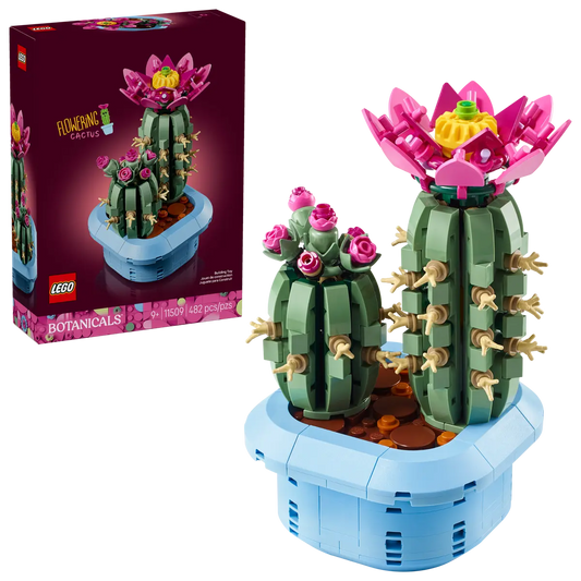 Bloeiende Cactus -11509