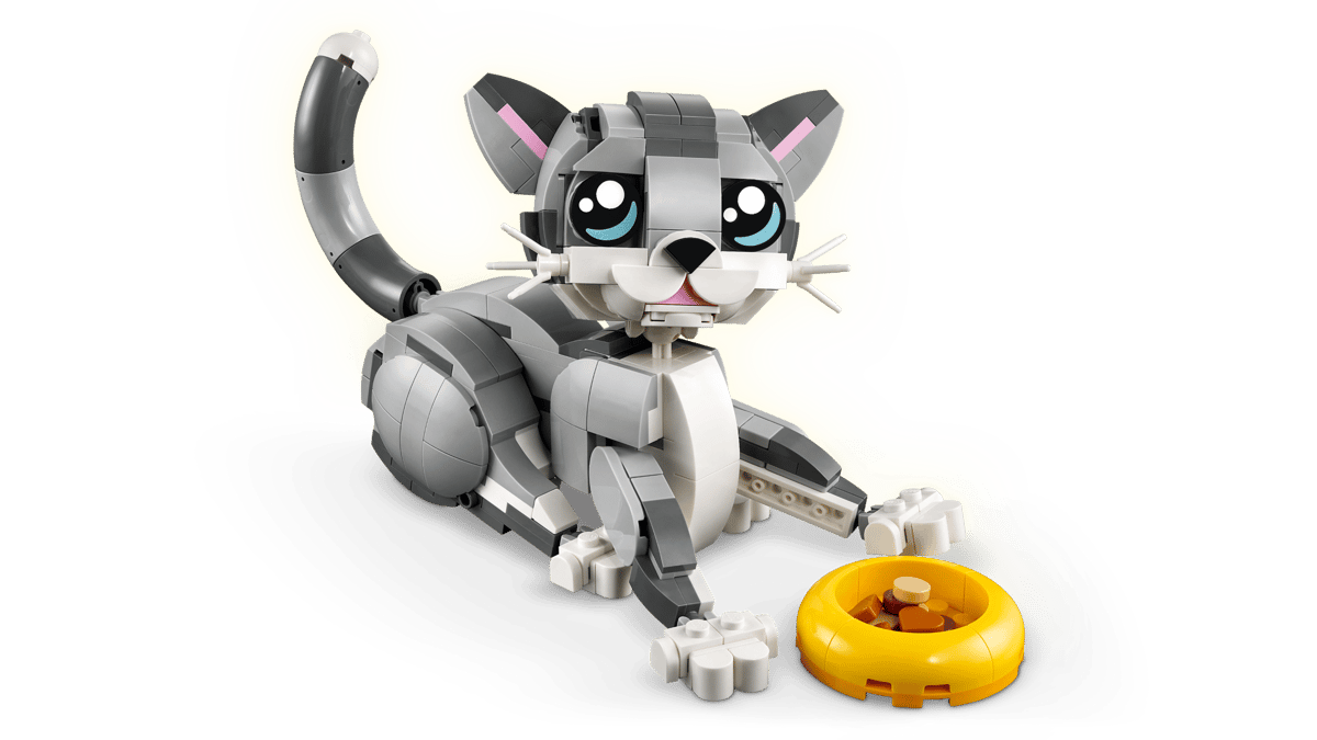 Speelse kat - 31163