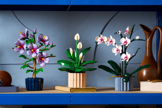 Je interieur stylen in januari: LEGO display-sets & book nooks als blikvanger