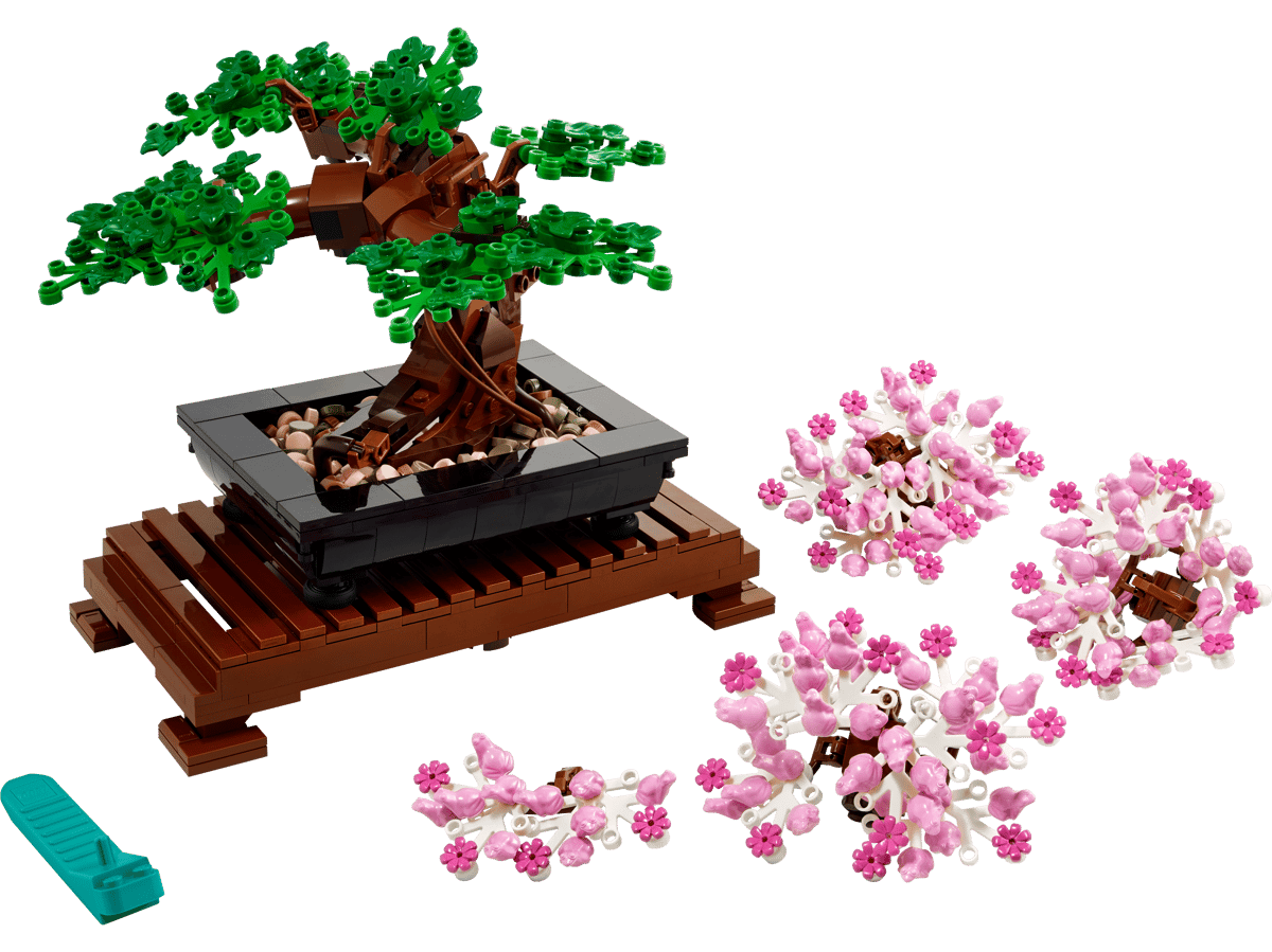 Bonsai Tree - 10281