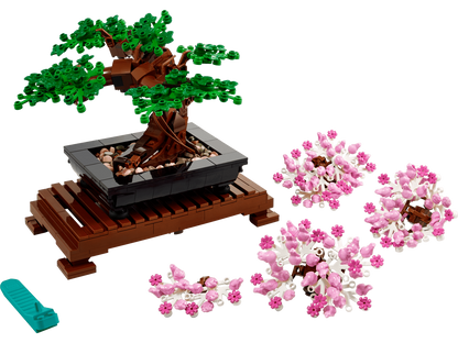 Bonsai Tree - 10281