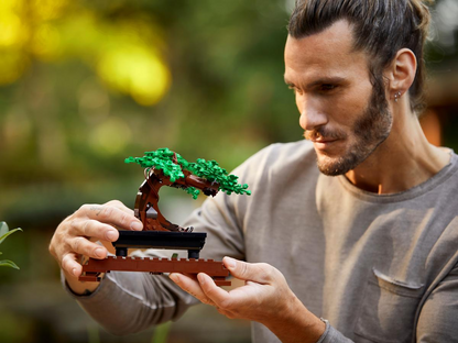 Bonsai Tree - 10281
