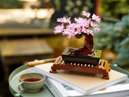 Bonsai Tree - 10281
