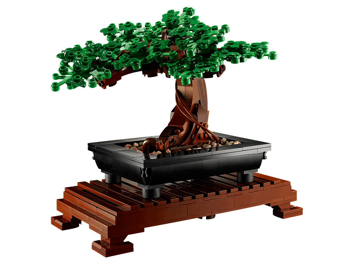 Bonsai Tree - 10281