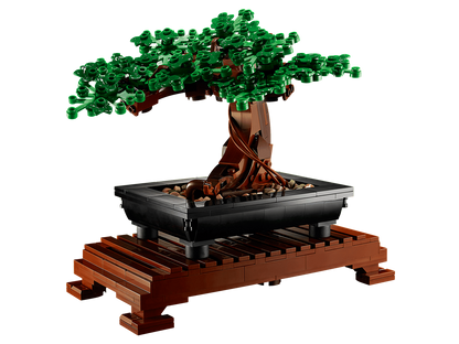 Bonsai Tree - 10281