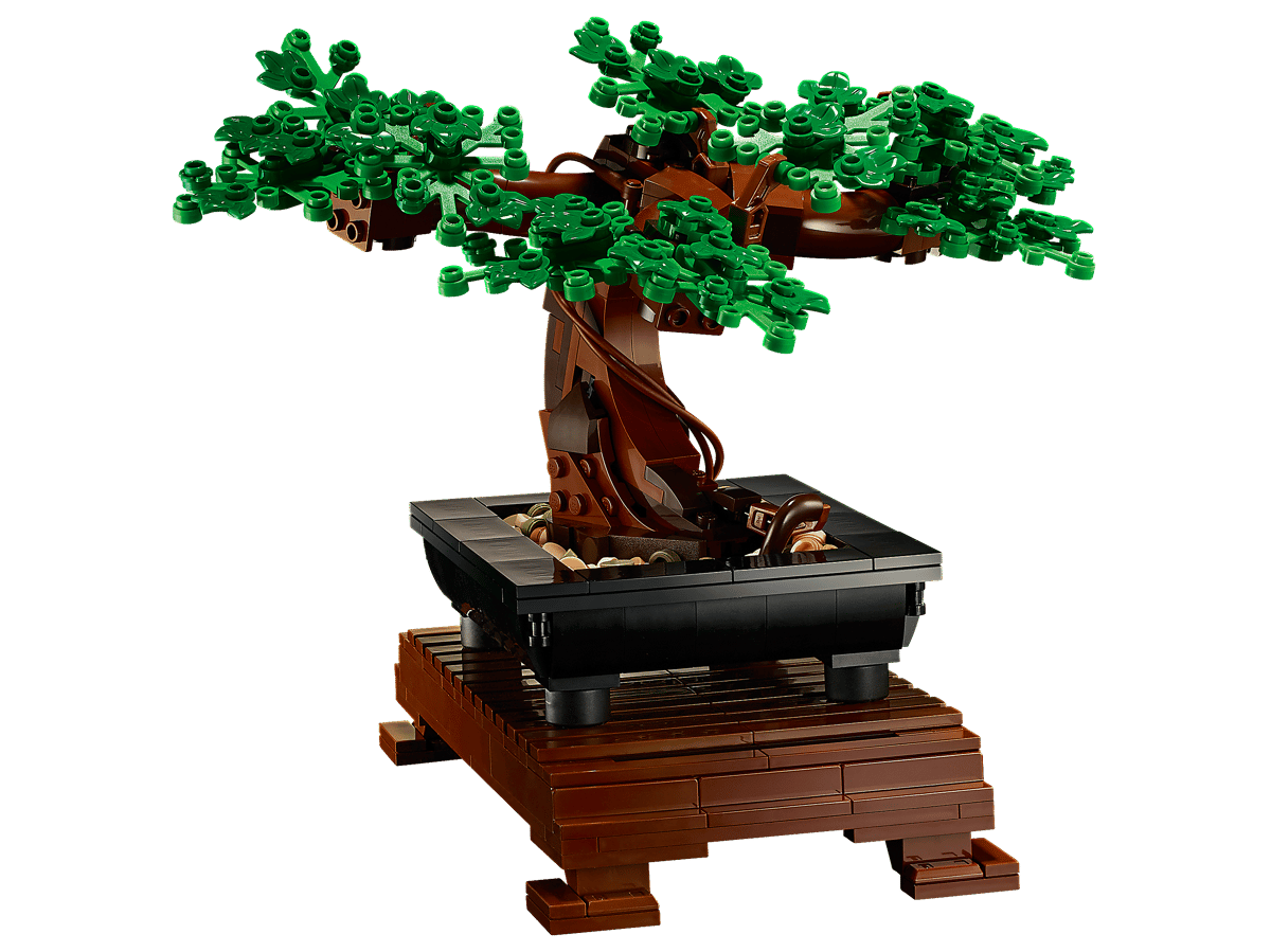 Bonsai Tree - 10281