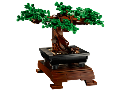 Bonsai Tree - 10281