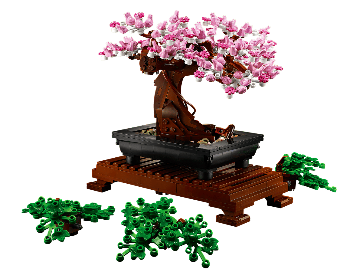 Bonsai Tree - 10281