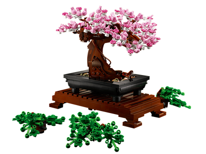 Bonsai Tree - 10281