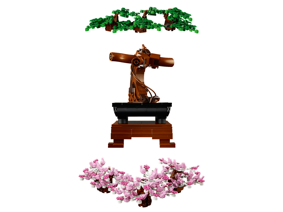 Bonsai Tree - 10281