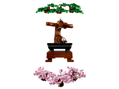 Bonsai Tree - 10281