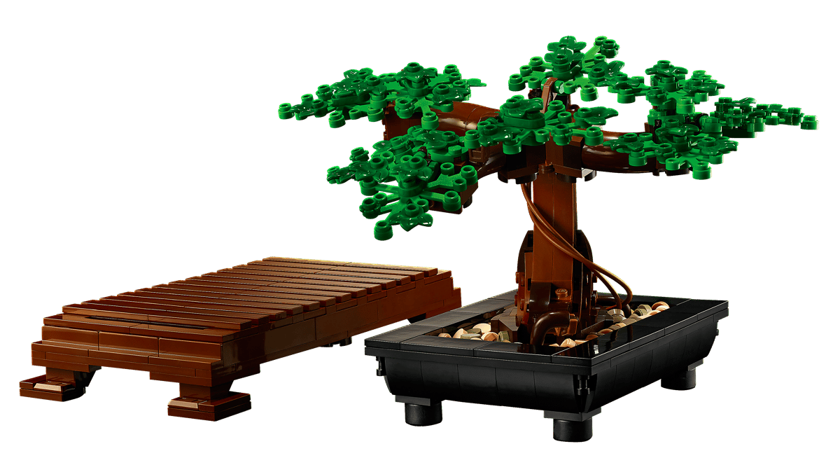 Bonsai Tree - 10281