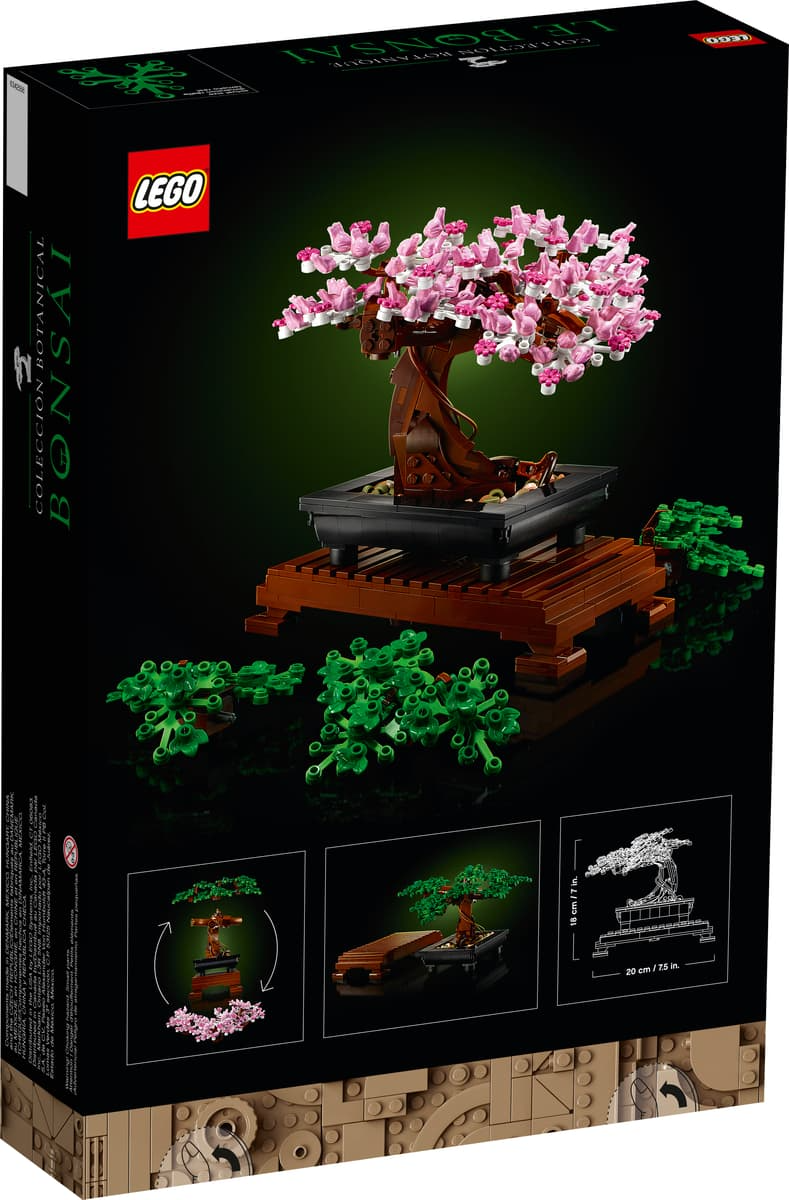 Bonsai Tree - 10281