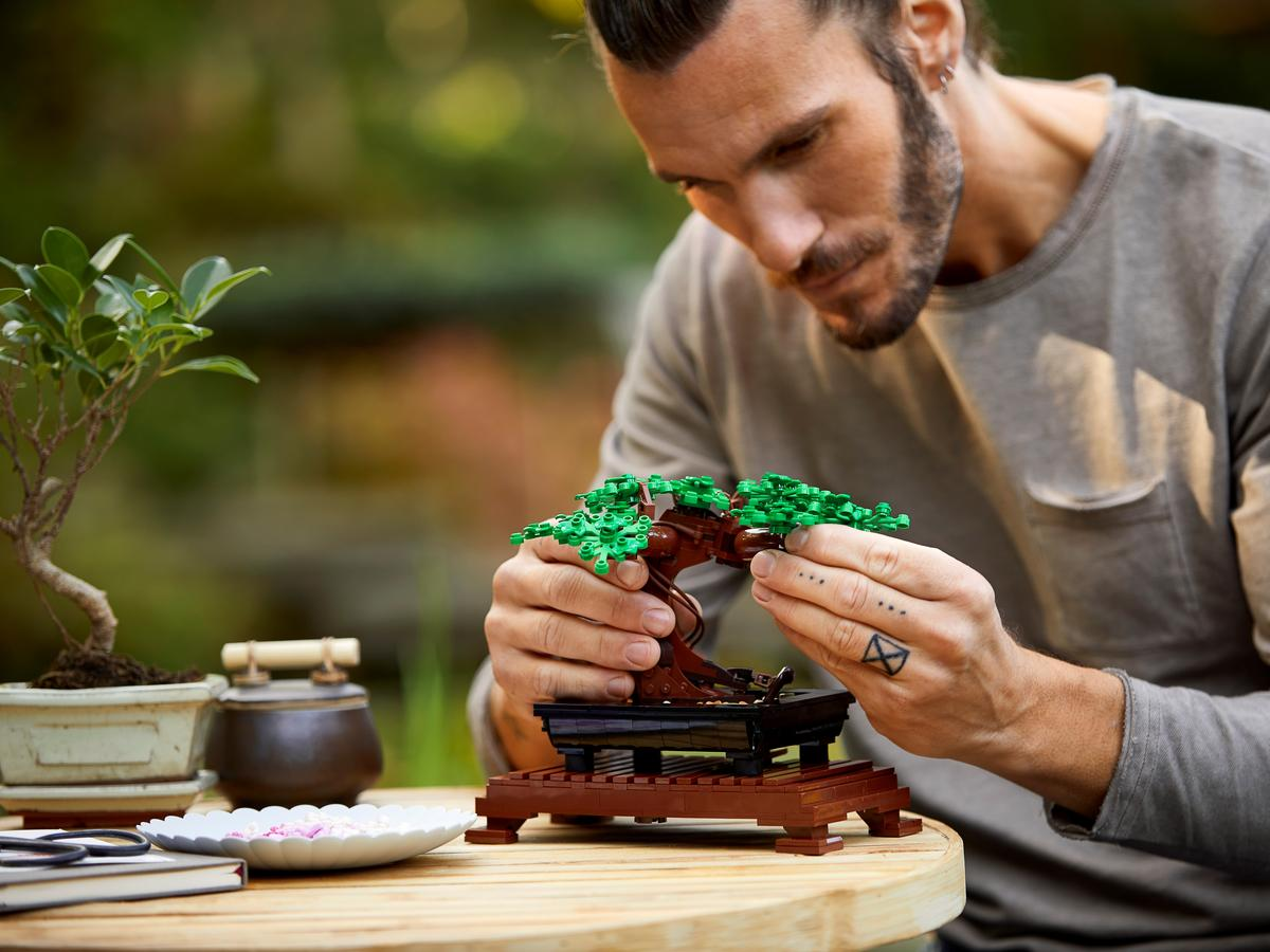 Bonsai Tree - 10281