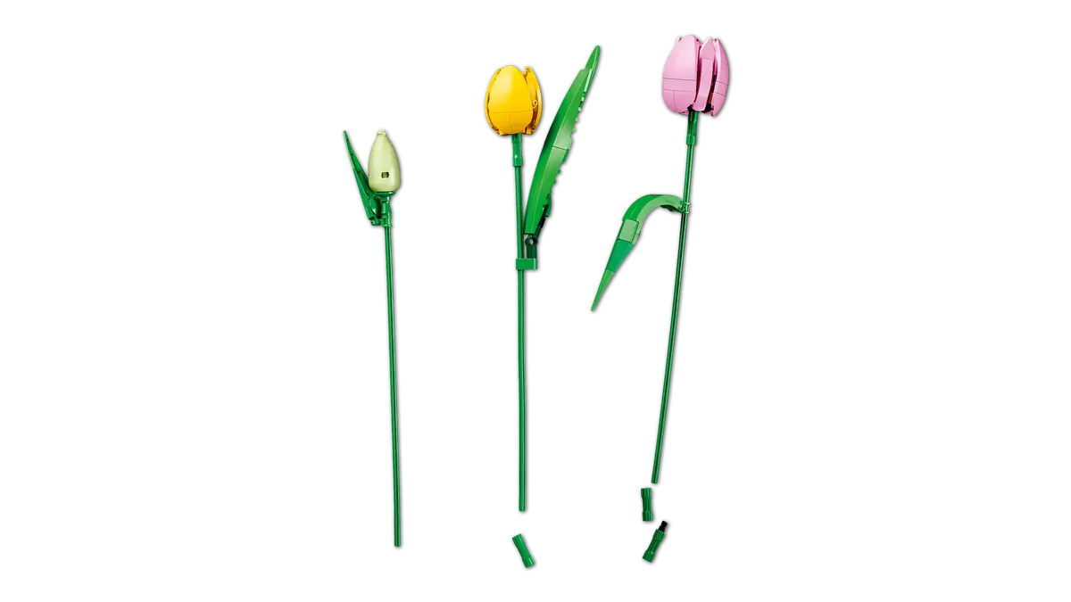 Boeket met tulpen - 11501