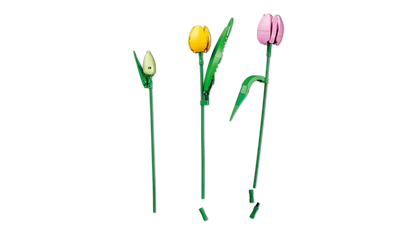 Boeket met tulpen - 11501