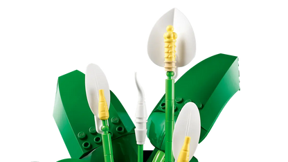 Lepelplant -11504