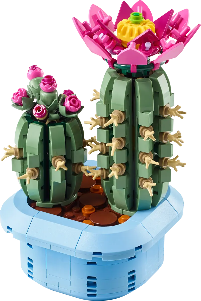 Bloeiende Cactus -11509