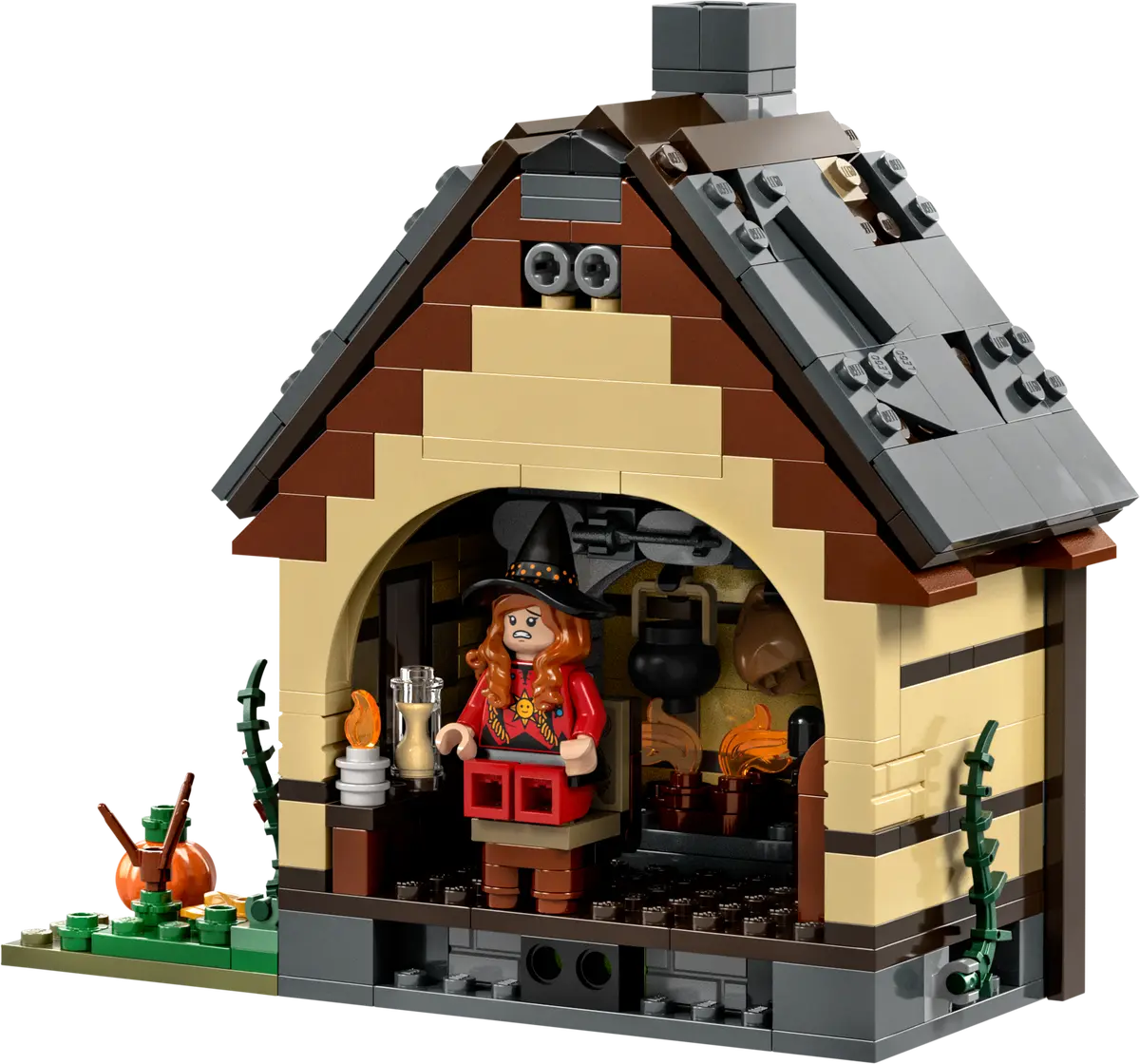 Disney Hocus Pocus: het huisje van de Sanderson-zussen - 21341