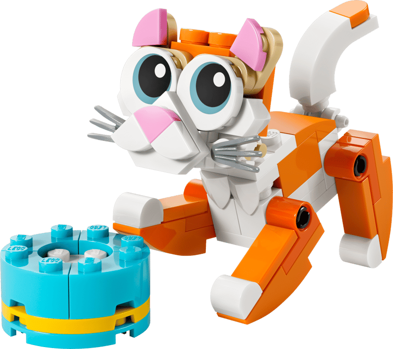 Oranje Cat - 30714