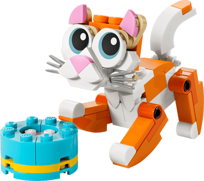 Oranje Cat - 30714