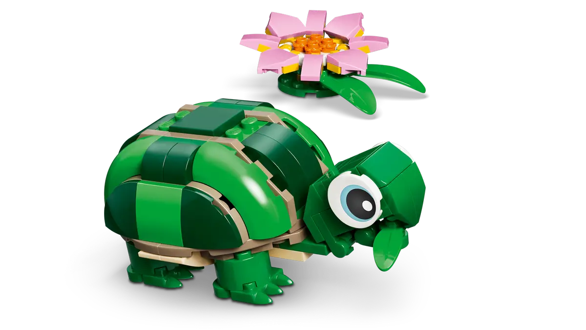 Turtle with water lily - 31377