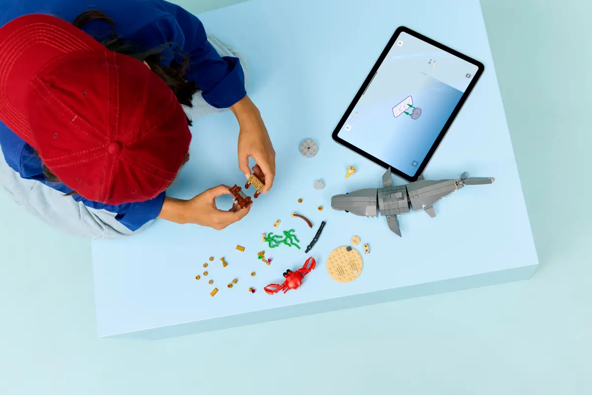 Wild shark with treasure chest - 31381