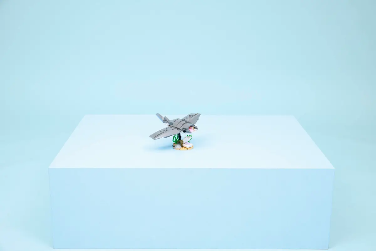 Wild shark with treasure chest - 31381