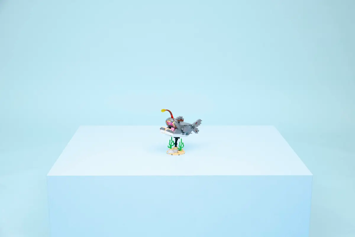 Wild shark with treasure chest - 31381