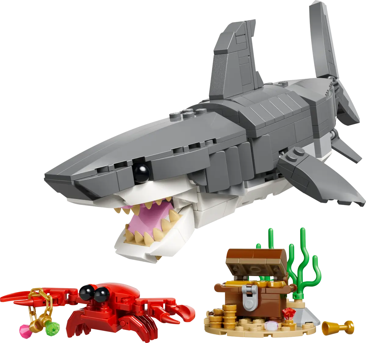 Wild shark with treasure chest - 31381