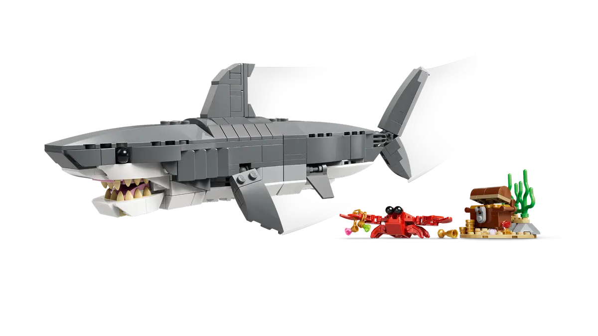 Wild shark with treasure chest - 31381