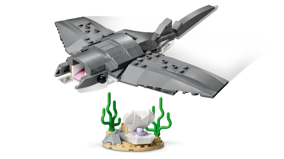Wild shark with treasure chest - 31381