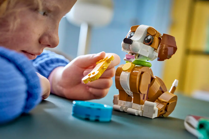Schattige dieren: speelse puppy - 31382