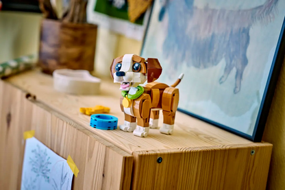 Schattige dieren: speelse puppy - 31382