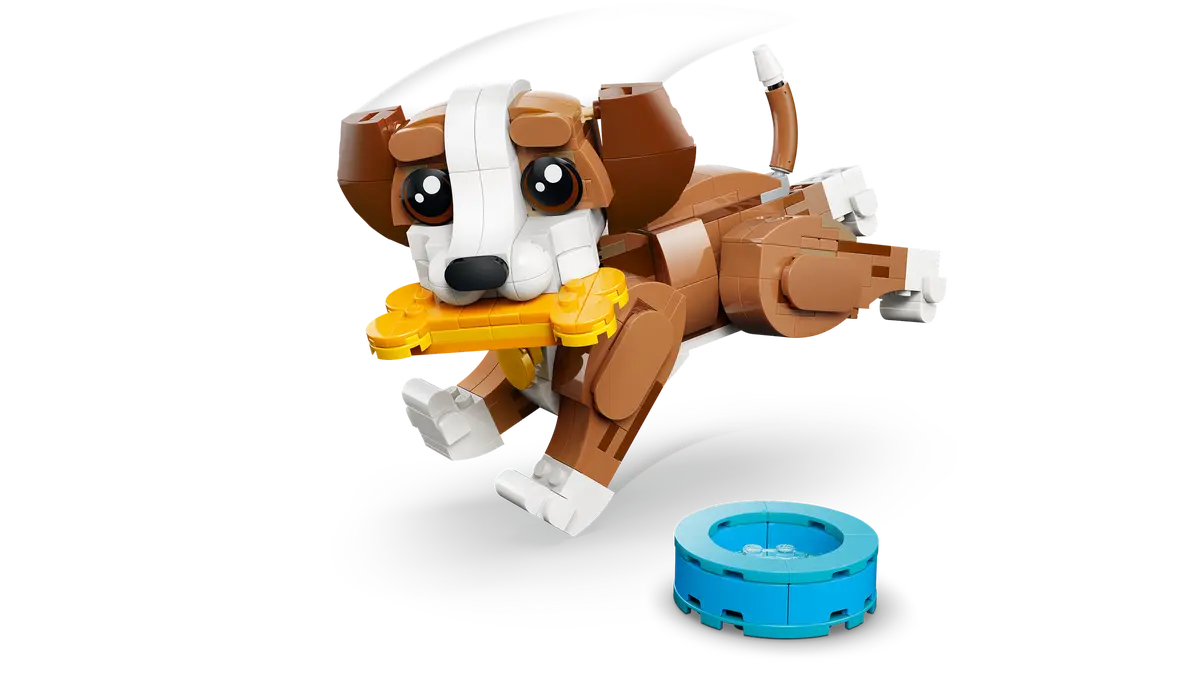 Schattige dieren: speelse puppy - 31382