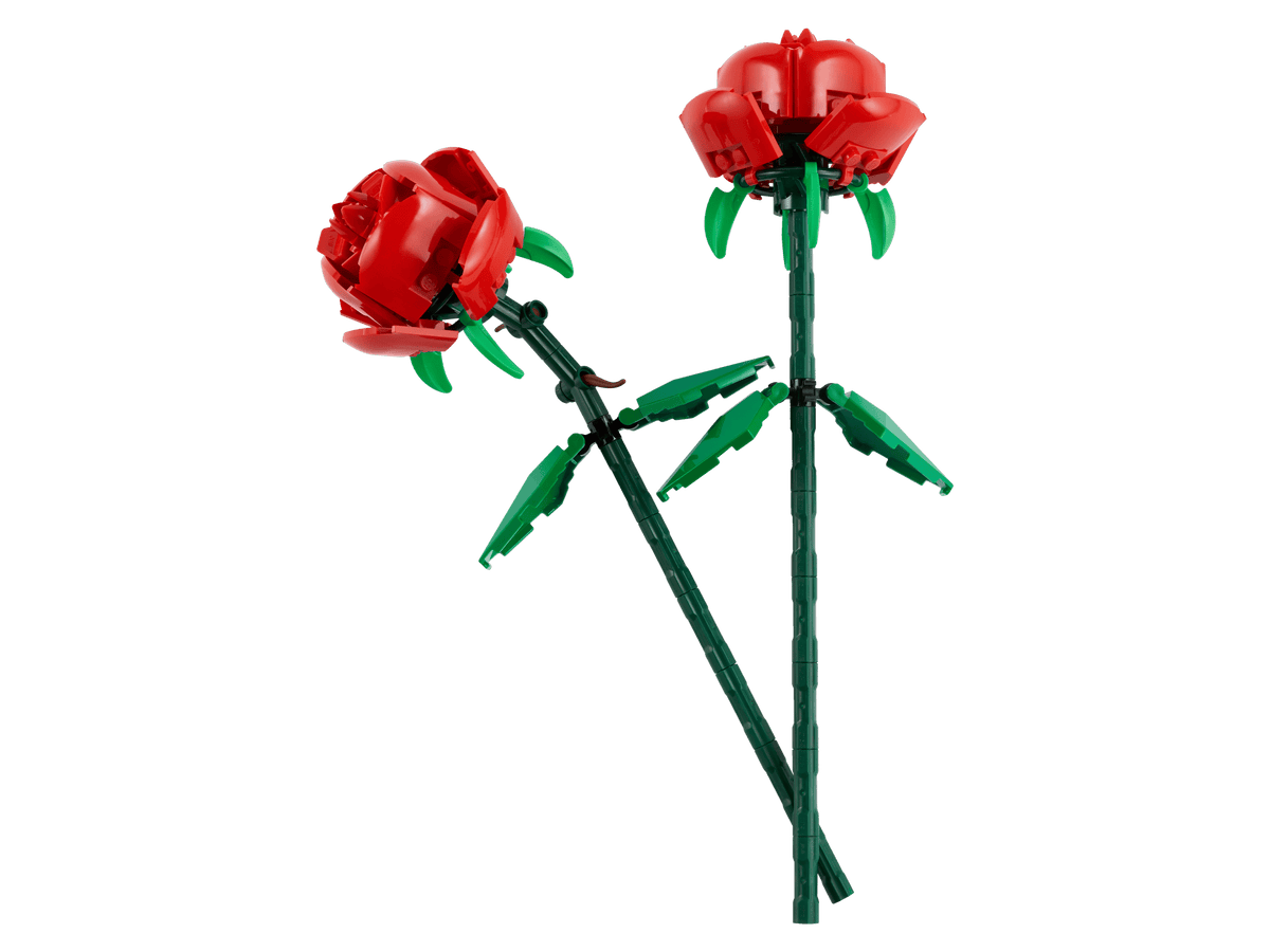 Rozen - 40460