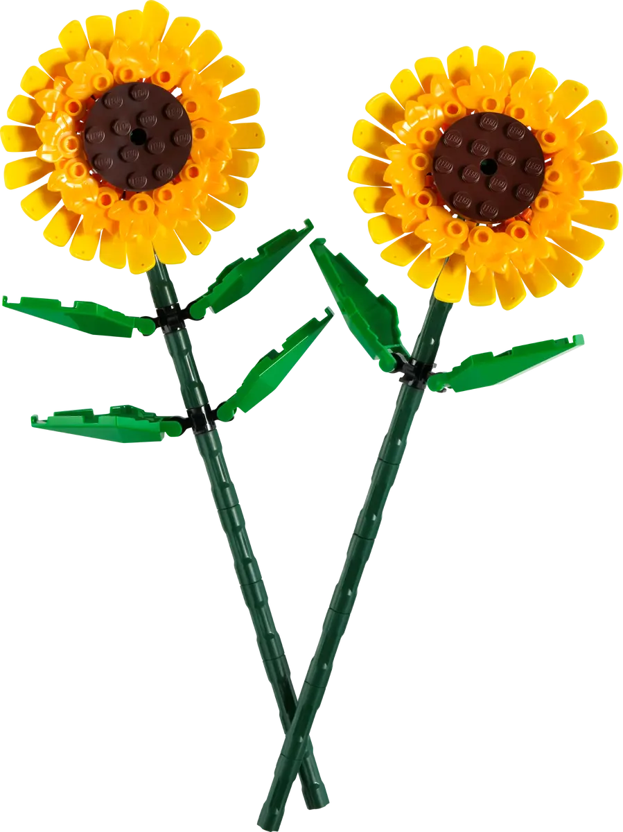 Zonnebloemen - 40524