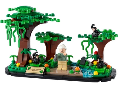 Eerbetoon aan Jane Goodall - 40530