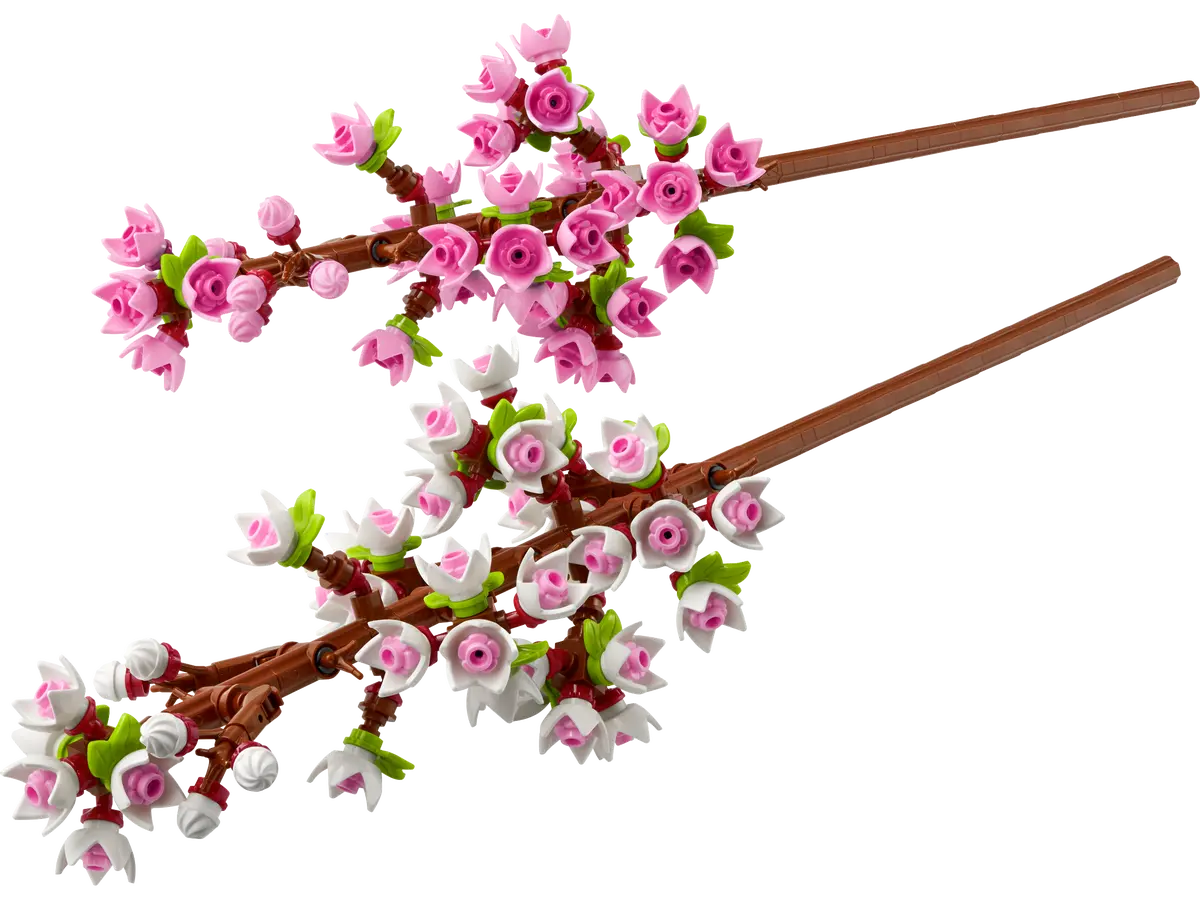 Kersenbloesems - 40725