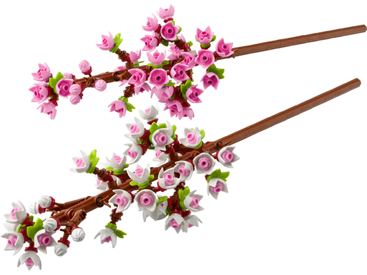 Kersenbloesems - 40725