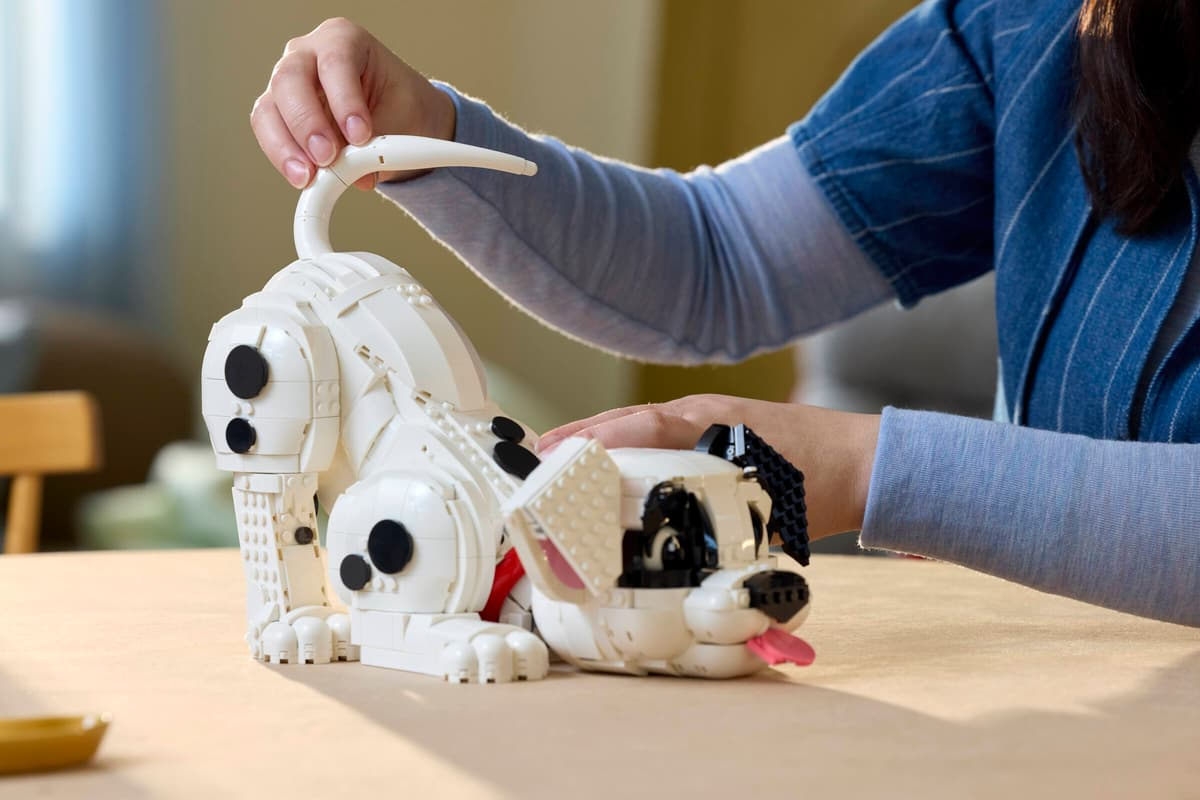 101 Dalmatians puppy - 43269