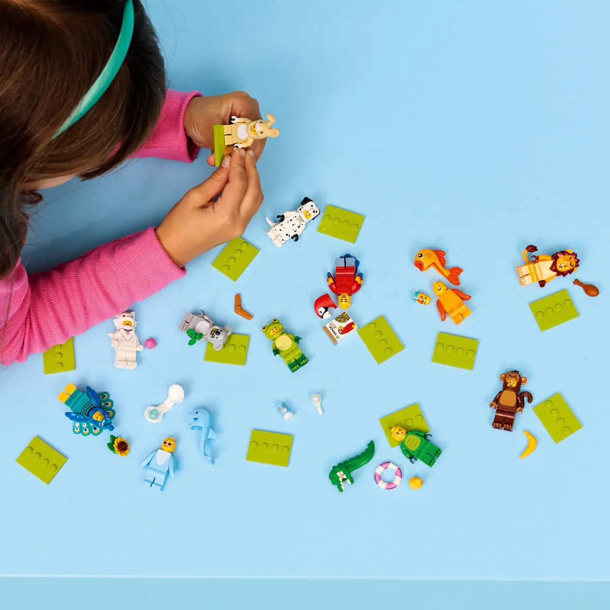 Series 28: Animal Costumes - Box (36 Pieces) - 71051