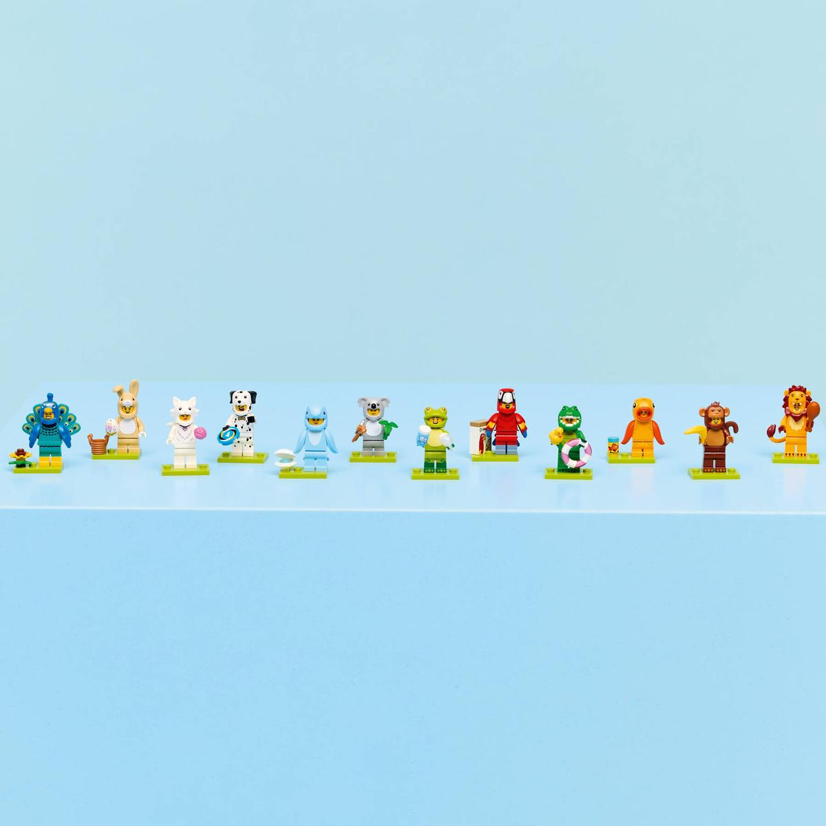 Series 28: Animal Costumes - Box (36 Pieces) - 71051