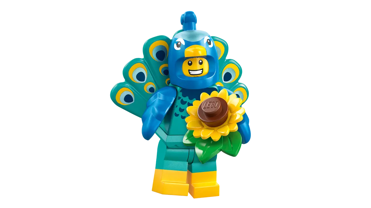 Series 28: Animal Costumes - Box (36 Pieces) - 71051