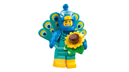 Series 28: Animal Costumes - Box (36 Pieces) - 71051