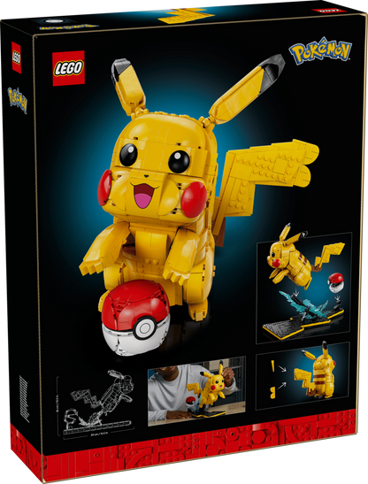 Pikachu and Poké Ball - 72152