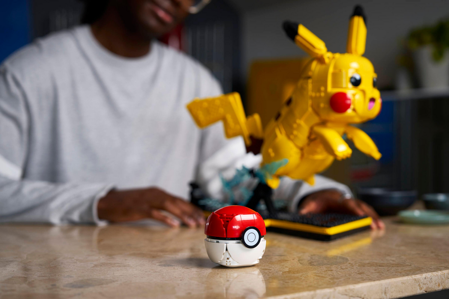 Pikachu and Poké Ball - 72152