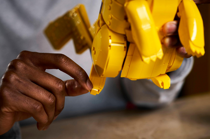 Pikachu and Poké Ball - 72152