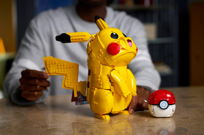 Pikachu and Poké Ball - 72152