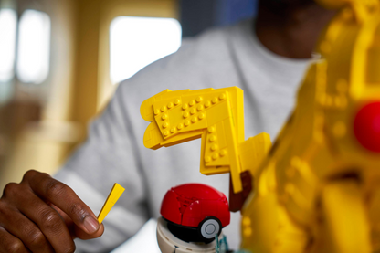 Pikachu and Poké Ball - 72152